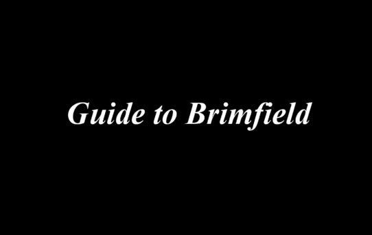 www.theGenuineGentleman.com Guide to Brimfield banner