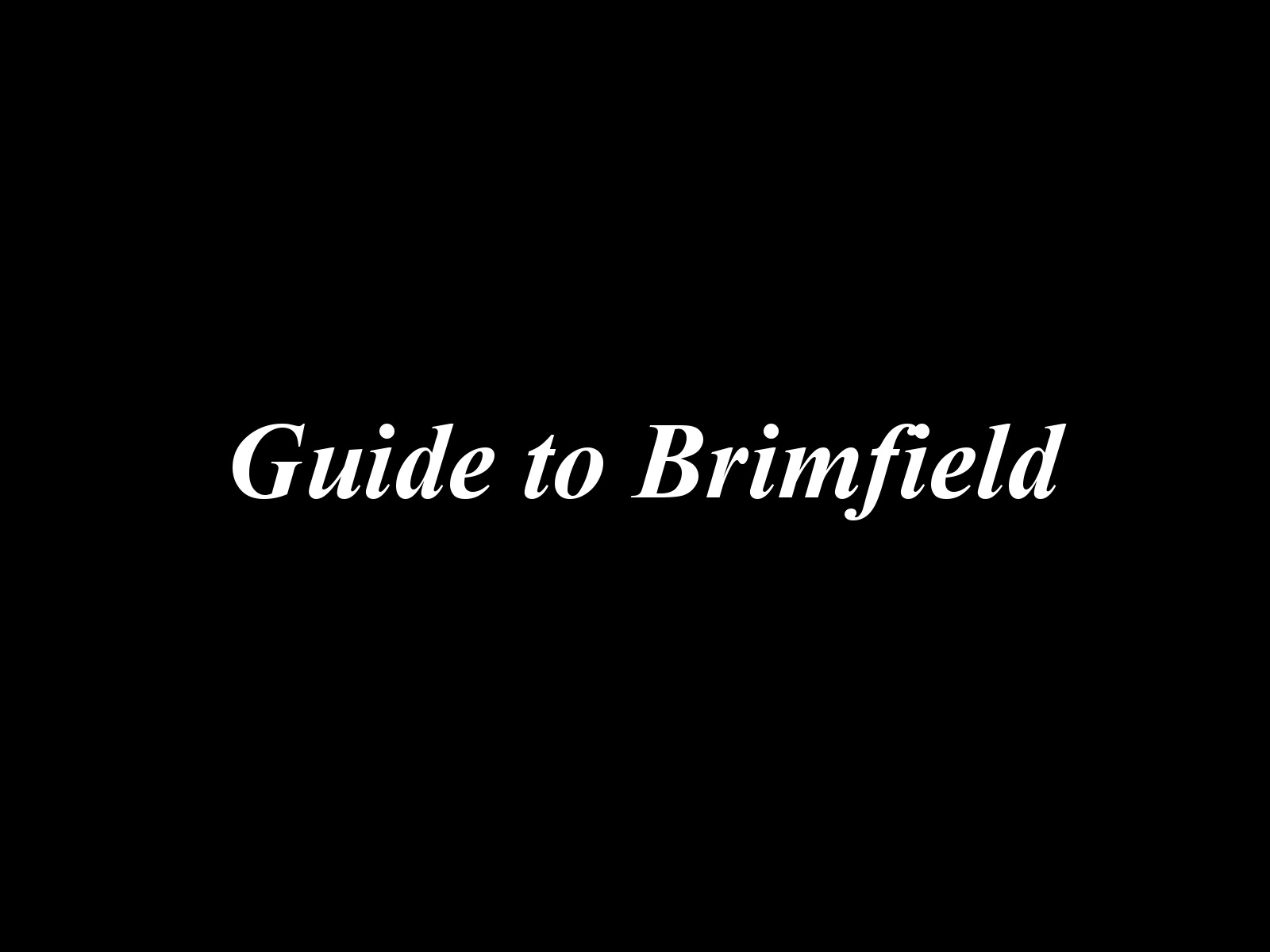 www.theGenuineGentleman.com Guide to Brimfield banner